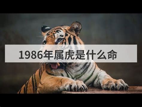 1986生肖五行